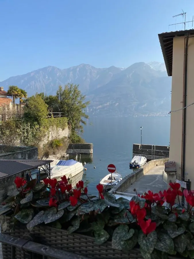 Al Molo 5 - Margaritaville Oliveto Lario Italy